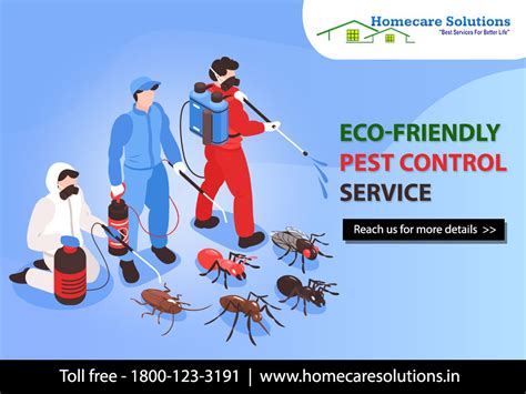 best pest control in bangalore|best pest control services bangalore.